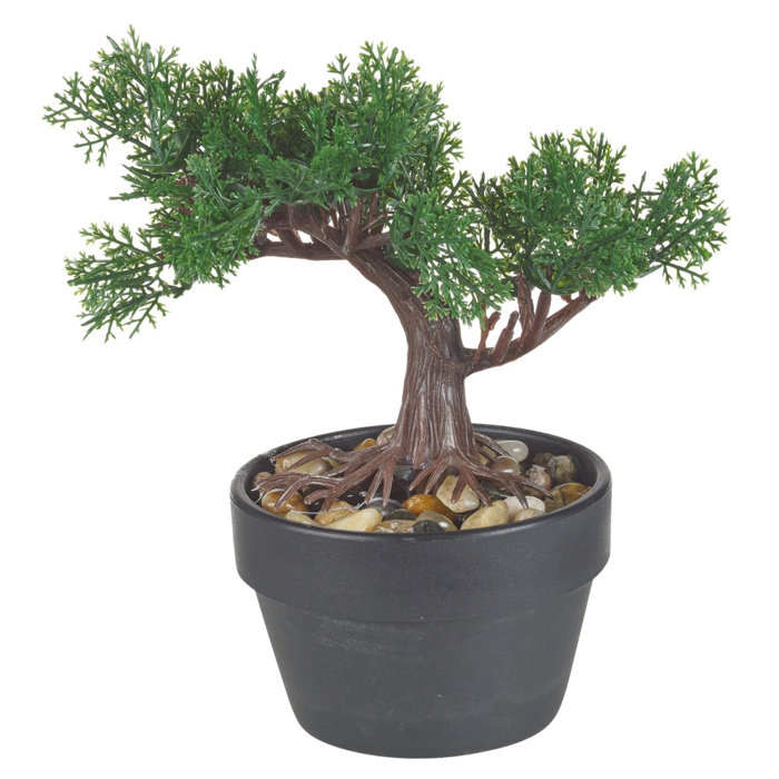 Die Saisontruhe Kunstbaum Bonsai im Topf & Bewertungen | Wayfair.de